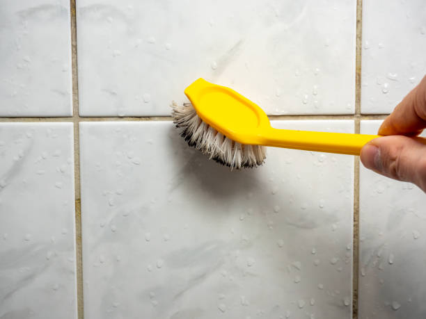 Best DIY Mold Remediation Support Services in Mason, MI